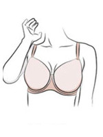 Купити бюстгальтери для великих розмірів.